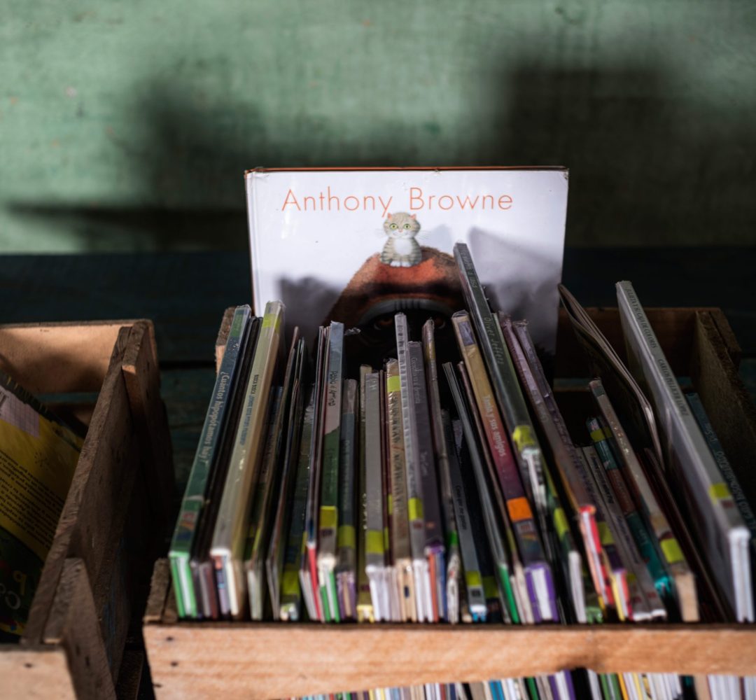 30-via-libro